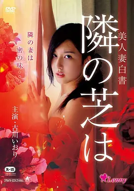 悬疑暗房 · 光影迷局